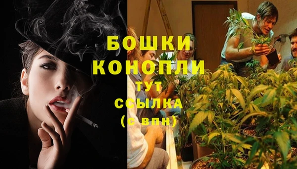 дурь Нея