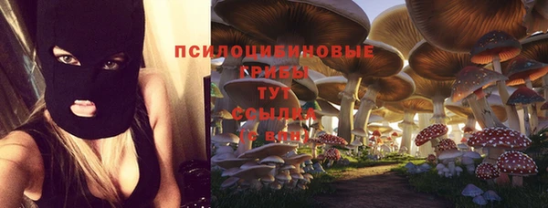бутират Надым