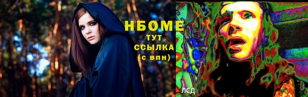 ПСИЛОЦИБИНОВЫЕ ГРИБЫ Вяземский