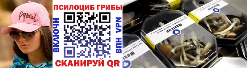 Галлюциногенные грибы Psilocybe  Лянтор 