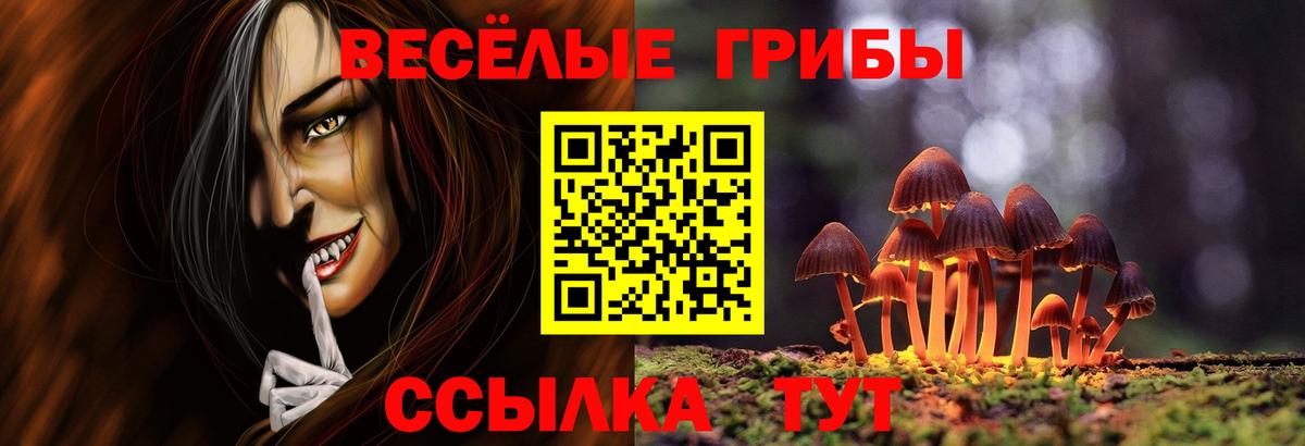 Галлюциногенные грибы GOLDEN TEACHER Лянтор